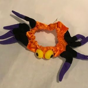 Halloween Spider Collar for Dogs